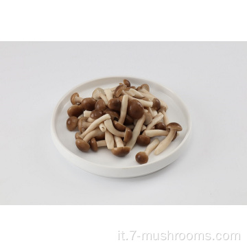Mushroom a forma di faggio fresco congelato-950g